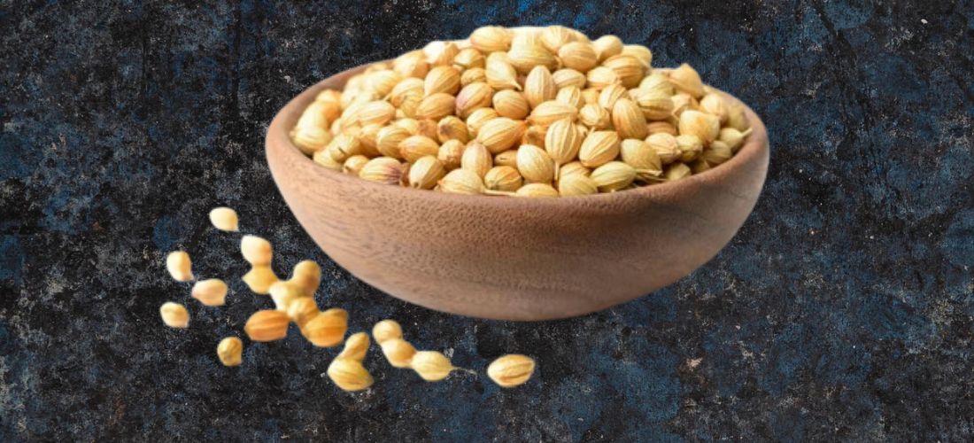 SilkPath Coriander